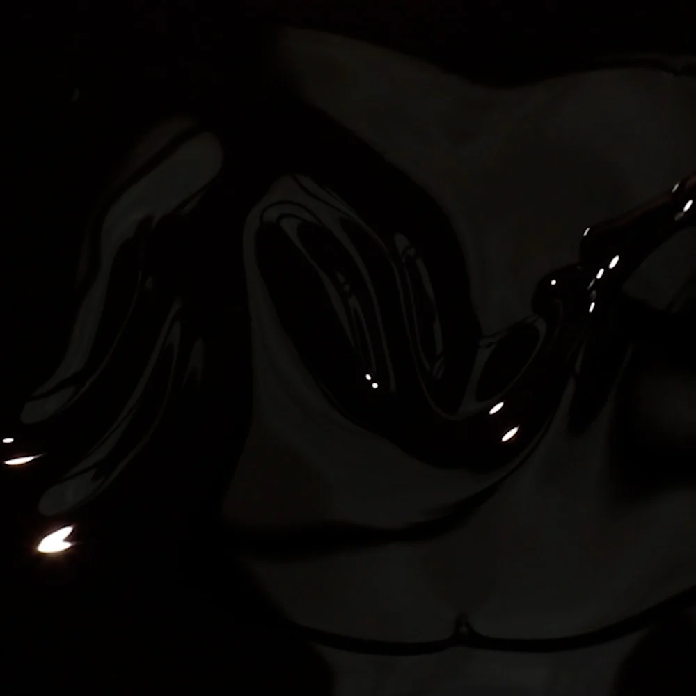 Onyx - Image 2